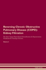 Image for Reversing Chronic Obstructive Pulmonary Disease (COPD) : Kidney Filtration The Raw Vegan Plant-Based Detoxification &amp; Regeneration Workbook for Healing Patients. Volume 5