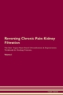 Image for Reversing Chronic Pain : Kidney Filtration The Raw Vegan Plant-Based Detoxification &amp; Regeneration Workbook for Healing Patients. Volume 5