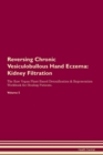 Image for Reversing Chronic Vesiculobullous Hand Eczema : Kidney Filtration The Raw Vegan Plant-Based Detoxification &amp; Regeneration Workbook for Healing Patients. Volume 5