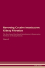 Image for Reversing Cocaine Intoxication : Kidney Filtration The Raw Vegan Plant-Based Detoxification &amp; Regeneration Workbook for Healing Patients. Volume 5