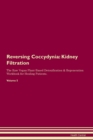 Image for Reversing Coccydynia : Kidney Filtration The Raw Vegan Plant-Based Detoxification &amp; Regeneration Workbook for Healing Patients. Volume 5
