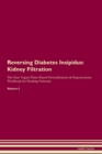 Image for Reversing Diabetes Insipidus : Kidney Filtration The Raw Vegan Plant-Based Detoxification &amp; Regeneration Workbook for Healing Patients. Volume 5