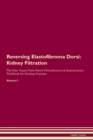 Image for Reversing Elastofibroma Dorsi : Kidney Filtration The Raw Vegan Plant-Based Detoxification &amp; Regeneration Workbook for Healing Patients. Volume 5