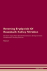 Image for Reversing Erysipeloid Of Rosenbach : Kidney Filtration The Raw Vegan Plant-Based Detoxification &amp; Regeneration Workbook for Healing Patients. Volume 5