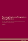 Image for Reversing Erythema Marginatum : Kidney Filtration The Raw Vegan Plant-Based Detoxification &amp; Regeneration Workbook for Healing Patients. Volume 5
