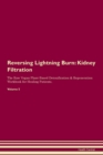 Image for Reversing Lightning Burn : Kidney Filtration The Raw Vegan Plant-Based Detoxification &amp; Regeneration Workbook for Healing Patients. Volume 5