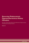Image for Reversing Phakomatosis Pigmentokeratotica : Kidney Filtration The Raw Vegan Plant-Based Detoxification &amp; Regeneration Workbook for Healing Patients.Volume 5