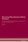 Image for Reversing Phenothiazine : Kidney Filtration The Raw Vegan Plant-Based Detoxification &amp; Regeneration Workbook for Healing Patients.Volume 5