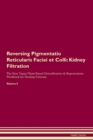 Image for Reversing Pigmentatio Reticularis Faciei et Colli : Kidney Filtration The Raw Vegan Plant-Based Detoxification &amp; Regeneration Workbook for Healing Patients.Volume 5