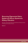Image for Reversing Pigmented Hairy Epidermal Nevus Syndrome : Kidney Filtration The Raw Vegan Plant-Based Detoxification &amp; Regeneration Workbook for Healing Patients.Volume 5