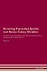Image for Reversing Pigmented Spindle Cell Nevus : Kidney Filtration The Raw Vegan Plant-Based Detoxification &amp; Regeneration Workbook for Healing Patients.Volume 5