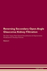 Image for Reversing Secondary Open-Angle Glaucoma : Kidney Filtration The Raw Vegan Plant-Based Detoxification &amp; Regeneration Workbook for Healing Patients. Volume 5
