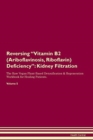 Image for Reversing Vitamin B2 (Ariboflavinosis, Riboflavin) Deficiency : Kidney Filtration The Raw Vegan Plant-Based Detoxification &amp; Regeneration Workbook for Healing Patients. Volume 5