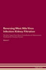 Image for Reversing West Nile Virus Infection