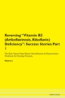 Image for Reversing Vitamin B2 (Ariboflavinosis, Riboflavin) Deficiency : Success Stories Part 1 The Raw Vegan Plant-Based Detoxification &amp; Regeneration Workbook for Healing Patients. Volume 6