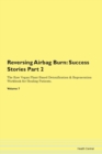 Image for Reversing Airbag Burn : Success Stories Part 2 The Raw Vegan Plant-Based Detoxification &amp; Regeneration Workbook for Healing Patients. Volume 7