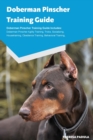 Image for Doberman Pinscher Training Guide Doberman Pinscher Breeding, Puppies, Tricks, Agility Training, Housetraining, Socializing, Obedience Training, Behavioral Training and More