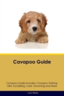Image for Cavapoo Guide Cavapoo Guide Includes : Cavapoo Training, Diet, Socializing, Care, Grooming, and More
