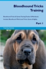 Image for Bloodhound Tricks Training Bloodhound Tricks &amp; Games Training Tracker &amp; Workbook. Includes : Bloodhound Multi-Level Tricks, Games &amp; Agility. Part 1