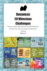 Image for Havanese 20 Milestone Challenges Havanese Memorable Moments. Includes Milestones for Memories, Gifts, Grooming, Socialization &amp; Training Volume 2