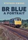 Image for BR Blue  : a portrait