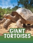 Image for Giant Tortoises