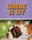 Image for Where Is It?
