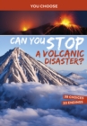 Image for Can you stop a volcanic disaster?  : an interactive eco adventure