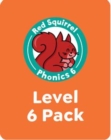 Image for Red squirrel phonicsLevel 6