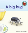 Image for A big bug