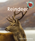 Image for Reindeer