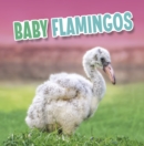 Image for Baby flamingos