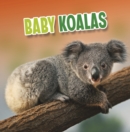 Image for Baby Koalas