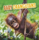 Image for Baby orangutans