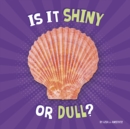 Image for Is It Shiny or Dull?