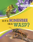 Image for Is It a Honeybee or a Wasp?