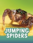 Image for Jumping Spiders