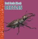 Image for Fast Facts About Beetles