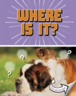 Image for Where Is It?: A Turn-and-See Book