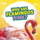 Image for Why Are Flamingos Pink?