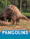 Image for Pangolins