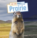 Image for Day and Night on the Prairie