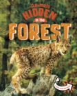 Image for Animals Hidden in the Forest