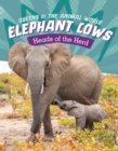 Image for Elephant cows  : heads of the herd