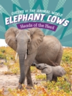 Image for Elephant cows  : heads of the herd