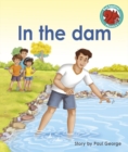 Image for In the dam