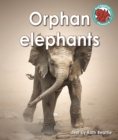 Image for Orphan elephants