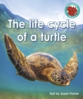 Image for The life cycle of a turtle