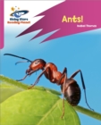 Reading Planet: Rocket Phonics – Target Practice – Ants! – Pink A - Thomas, Isabel