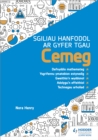 Image for Sgiliau Hanfodol ar gyfer TGAU Cemeg (Essential Skills for GCSE Chemistry: Welsh-language edition)